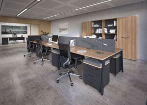 Офисная мебель для персонала Evolution