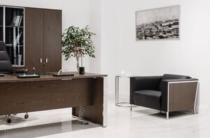 Офисная мягкая мебель Vispo Wood