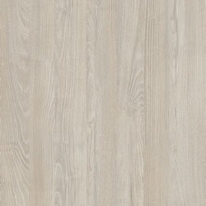 Акация Морава