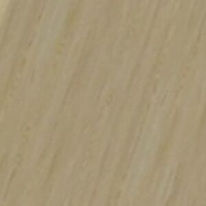 Дуб янтарный