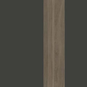 Антрацит/Антрацит/Вяз Благородный