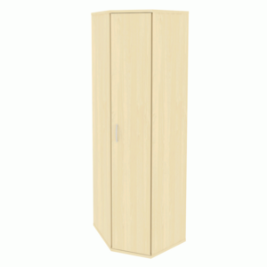 Угловой гардероб с дверью