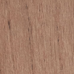 Дуб крафт золотой